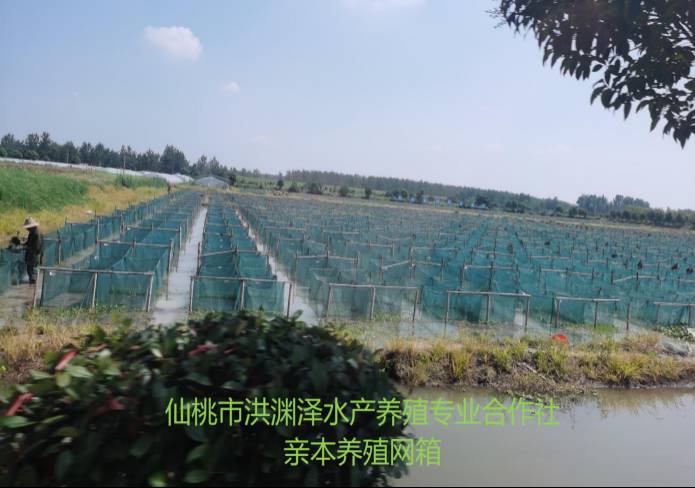 南宫28(中国)官方网站