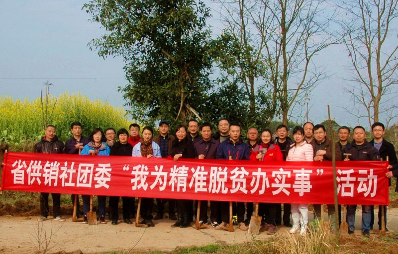 南宫28(中国)官方网站